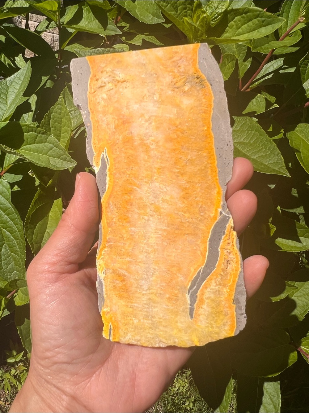 Bumblebee (3) Jasper slab with stand | crystal